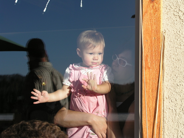 Sera exploring the Lodge II